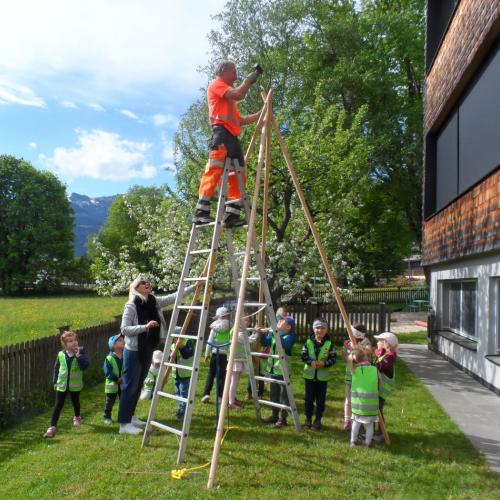Bohnenzelt aufstellen